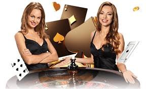 betvera com